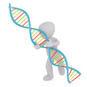 3D guy hauling giant DNA double helix